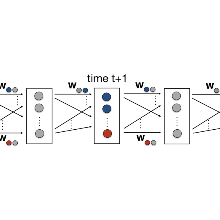 Visualisation of the neuro-symbolic learning and planning framework presented in [1] where red circles represent action variables, blue circles represent state variables, grey circles represent the activation units and w's represent the weights of the neural network.